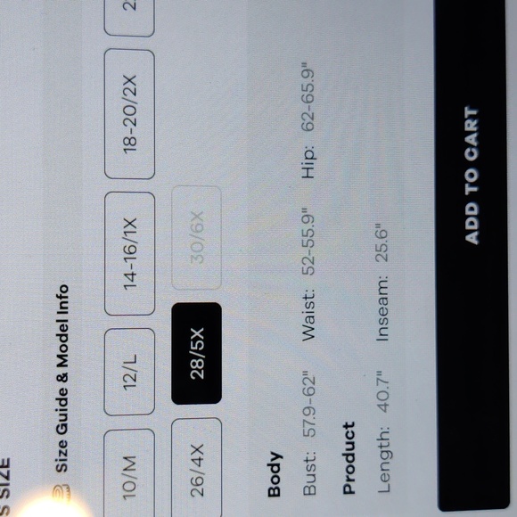 Solid drawstring elastic waist cuffed pants - Picture 13 of 13